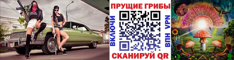 Галлюциногенные грибы GOLDEN TEACHER  купить   Куса 